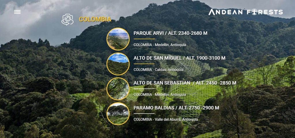 Conectándonos con los bosques andinos colombianos a través de la realidad  virtual – Cooperación Suiza en Perú