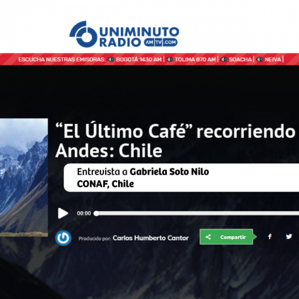 ultimo-cafe-conaf-chile