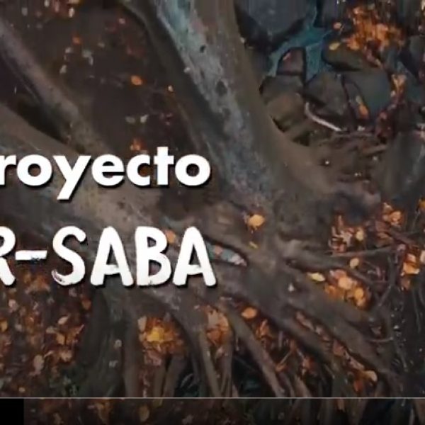 video-asir-saba1